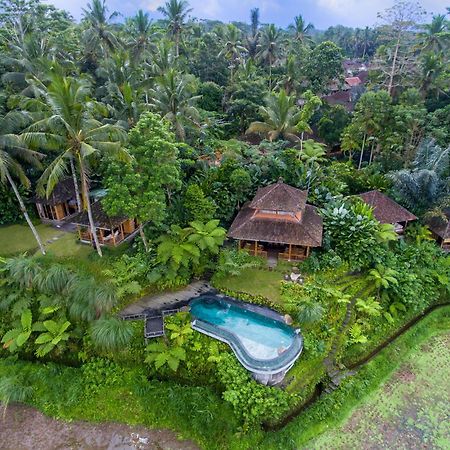 Dewi Tara Haven Bed & Breakfast Payangan Eksteriør bilde