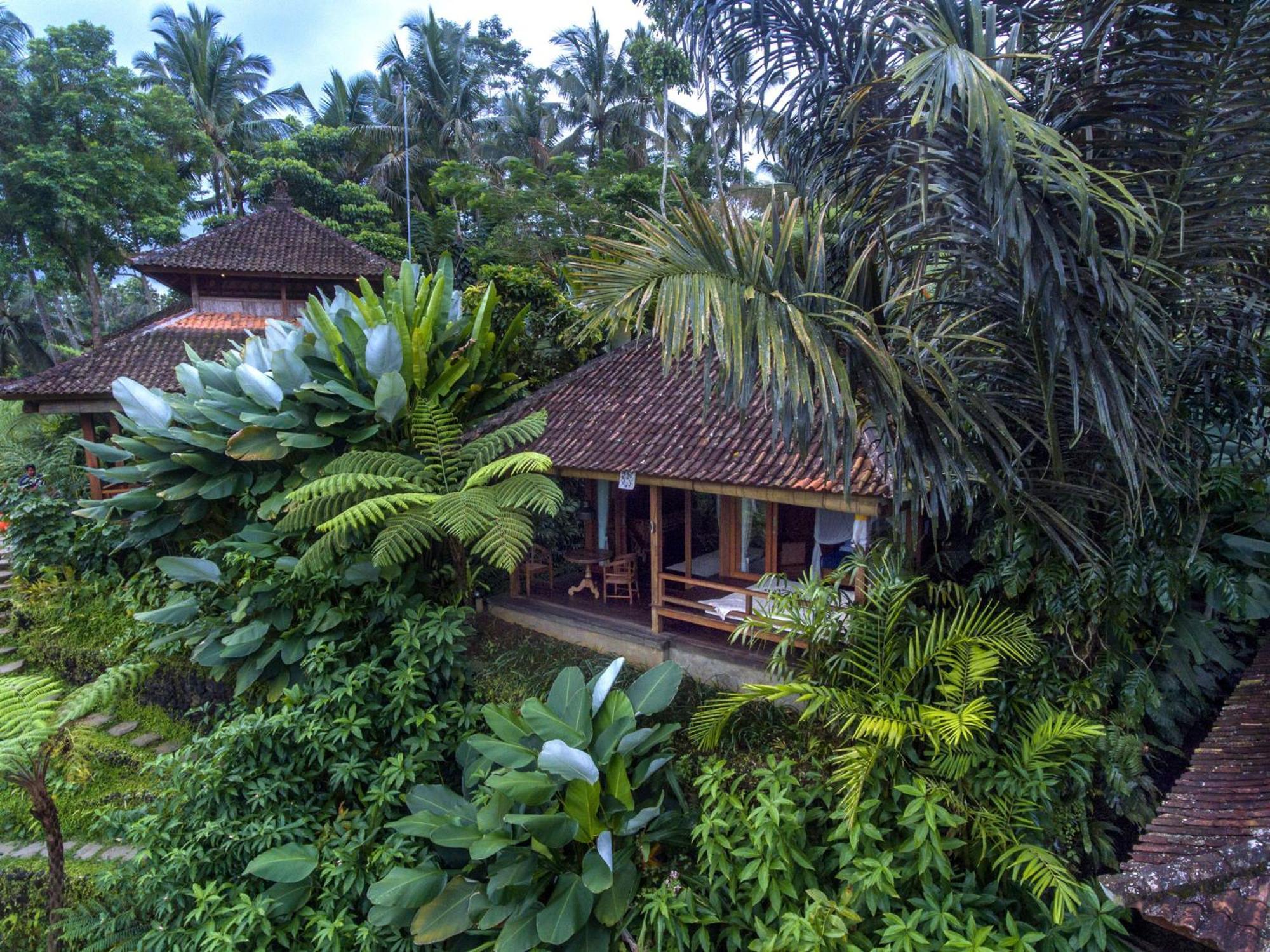 Dewi Tara Haven Bed & Breakfast Payangan Rom bilde