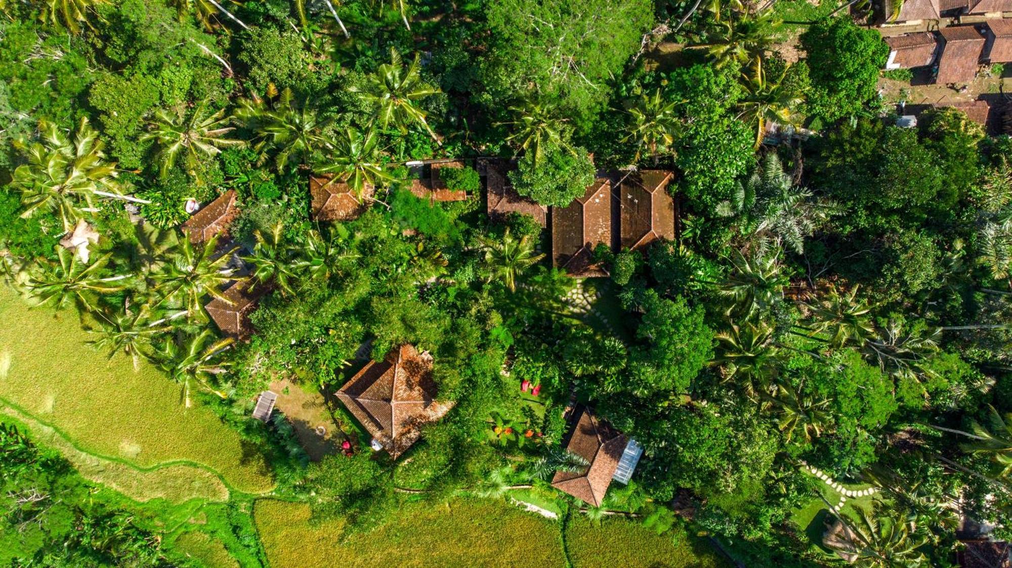 Dewi Tara Haven Bed & Breakfast Payangan Eksteriør bilde