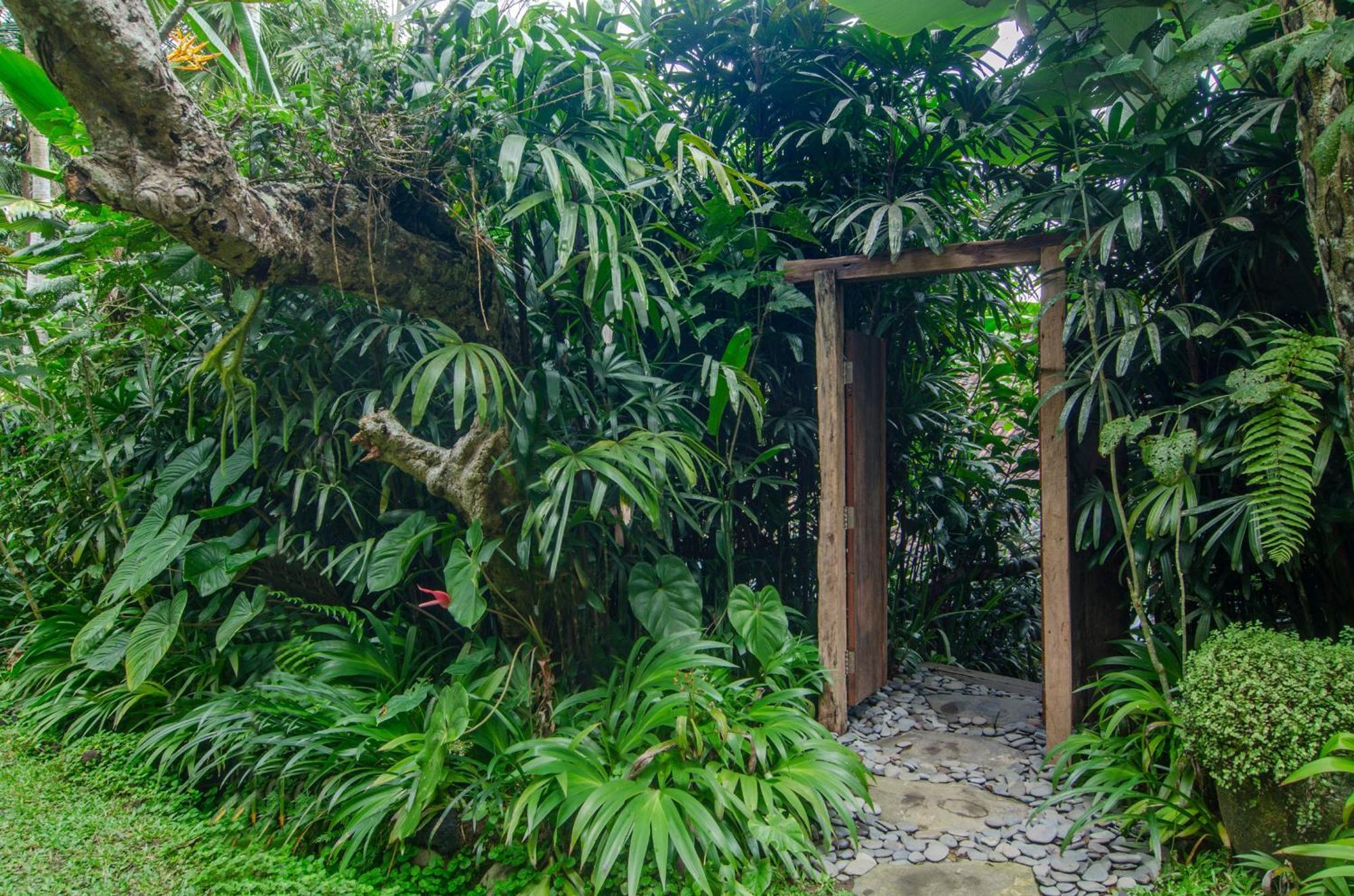 Dewi Tara Haven Bed & Breakfast Payangan Rom bilde