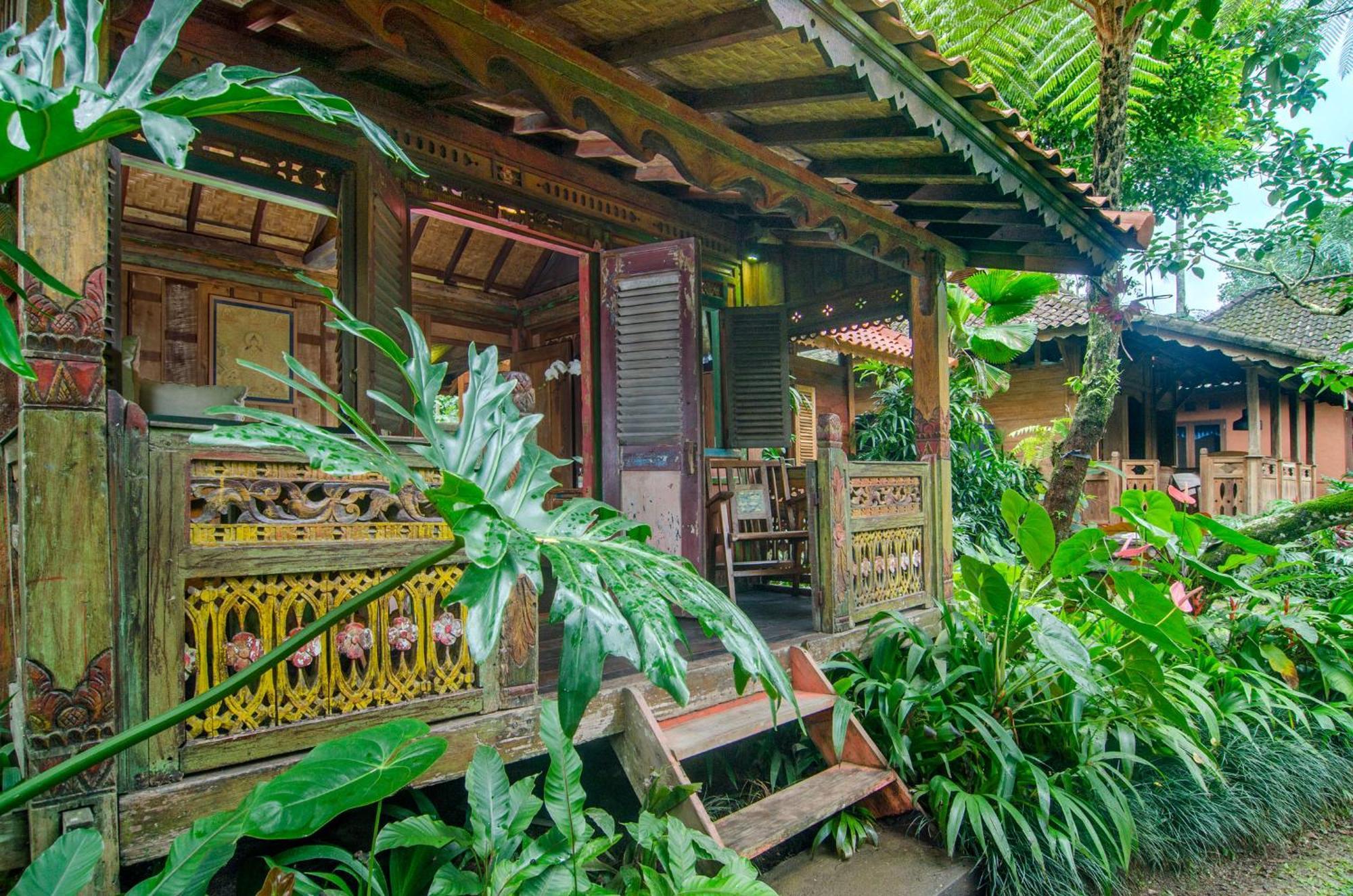 Dewi Tara Haven Bed & Breakfast Payangan Rom bilde