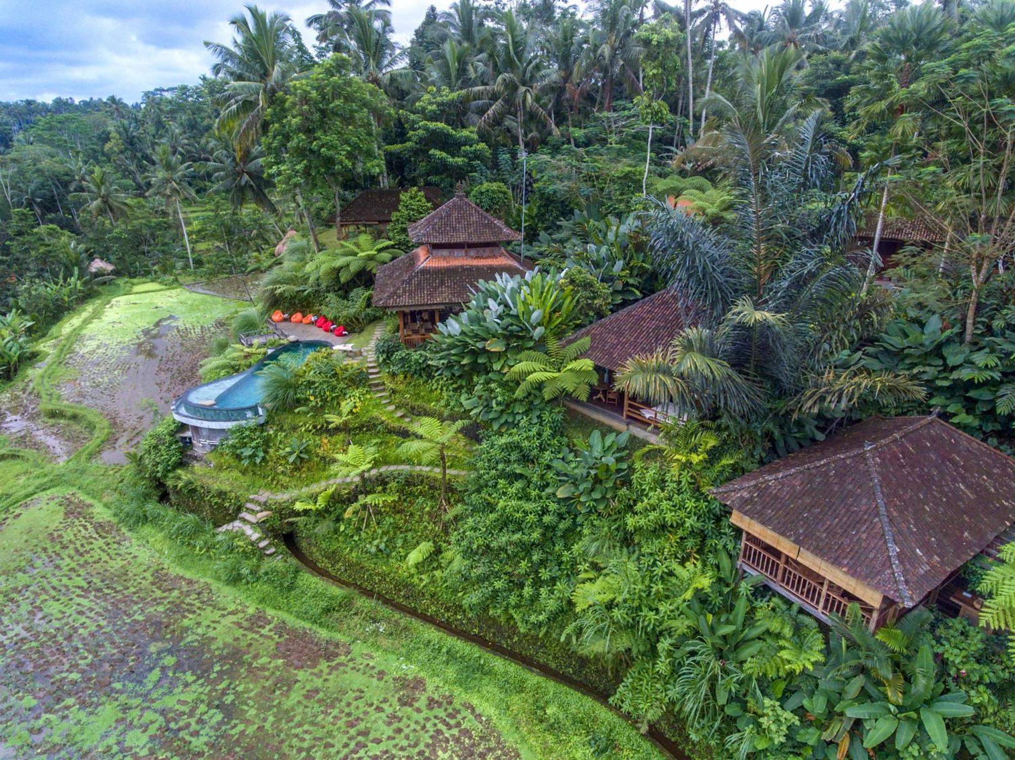 Dewi Tara Haven Bed & Breakfast Payangan Rom bilde