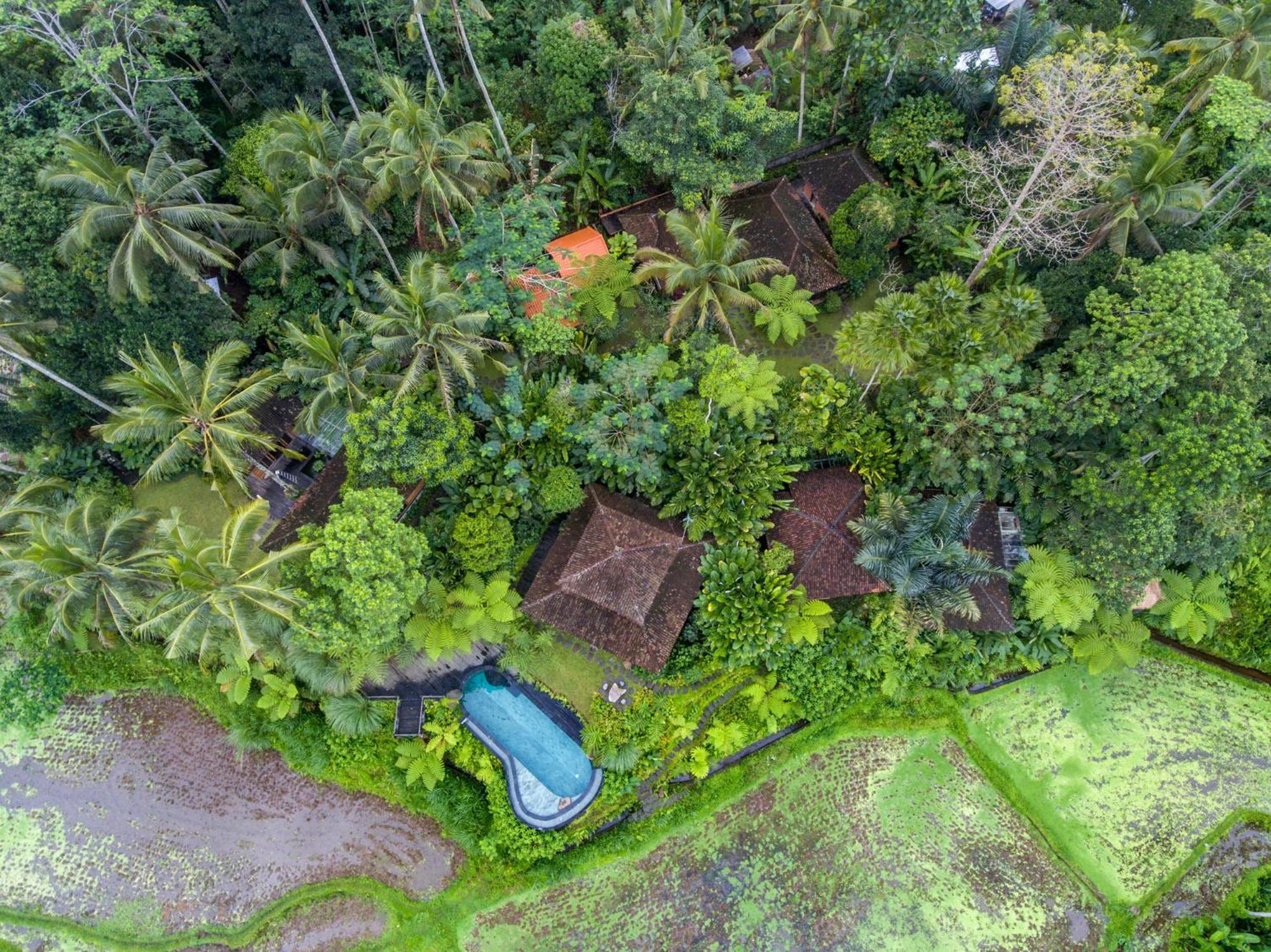 Dewi Tara Haven Bed & Breakfast Payangan Rom bilde