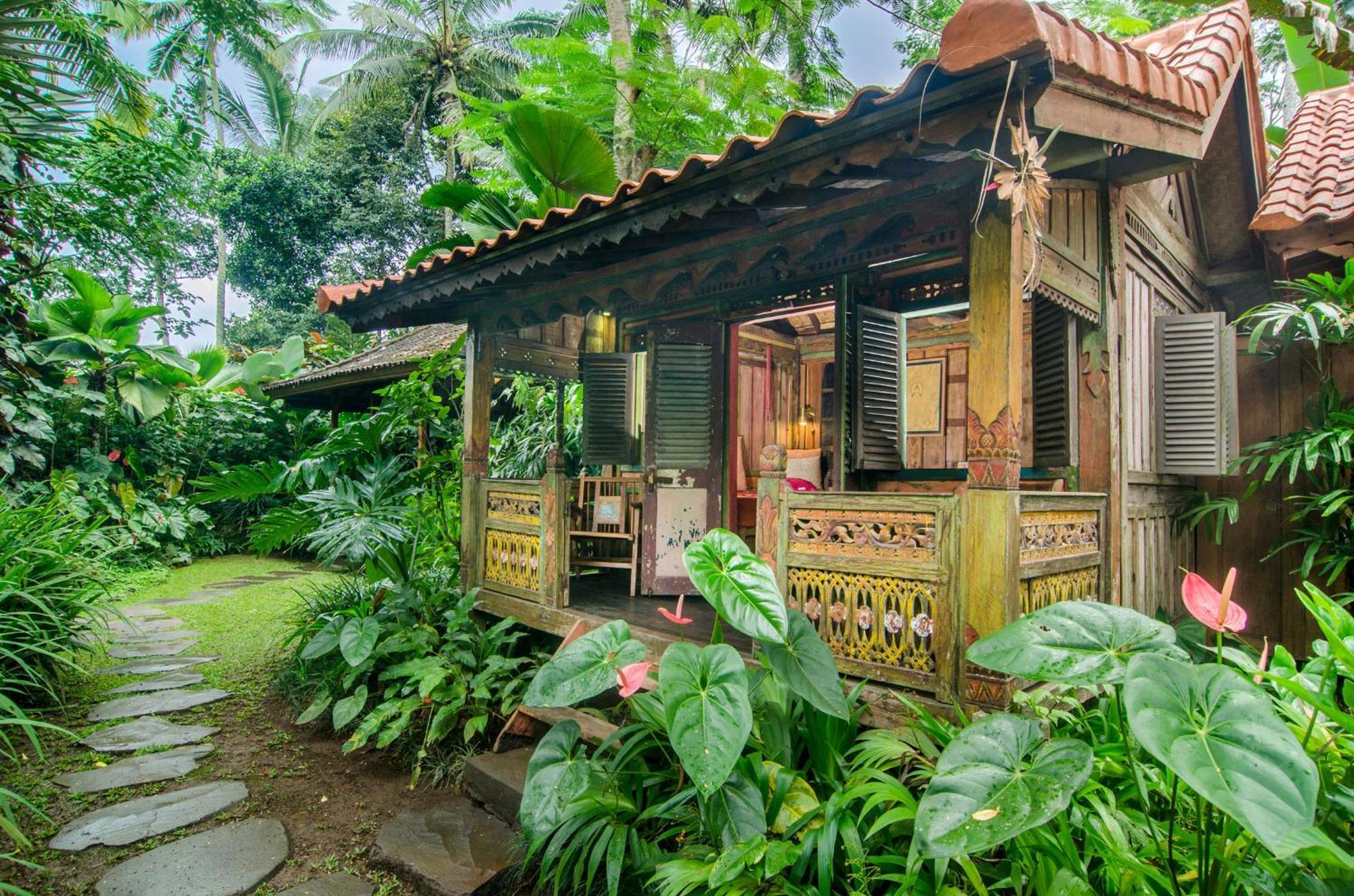 Dewi Tara Haven Bed & Breakfast Payangan Rom bilde