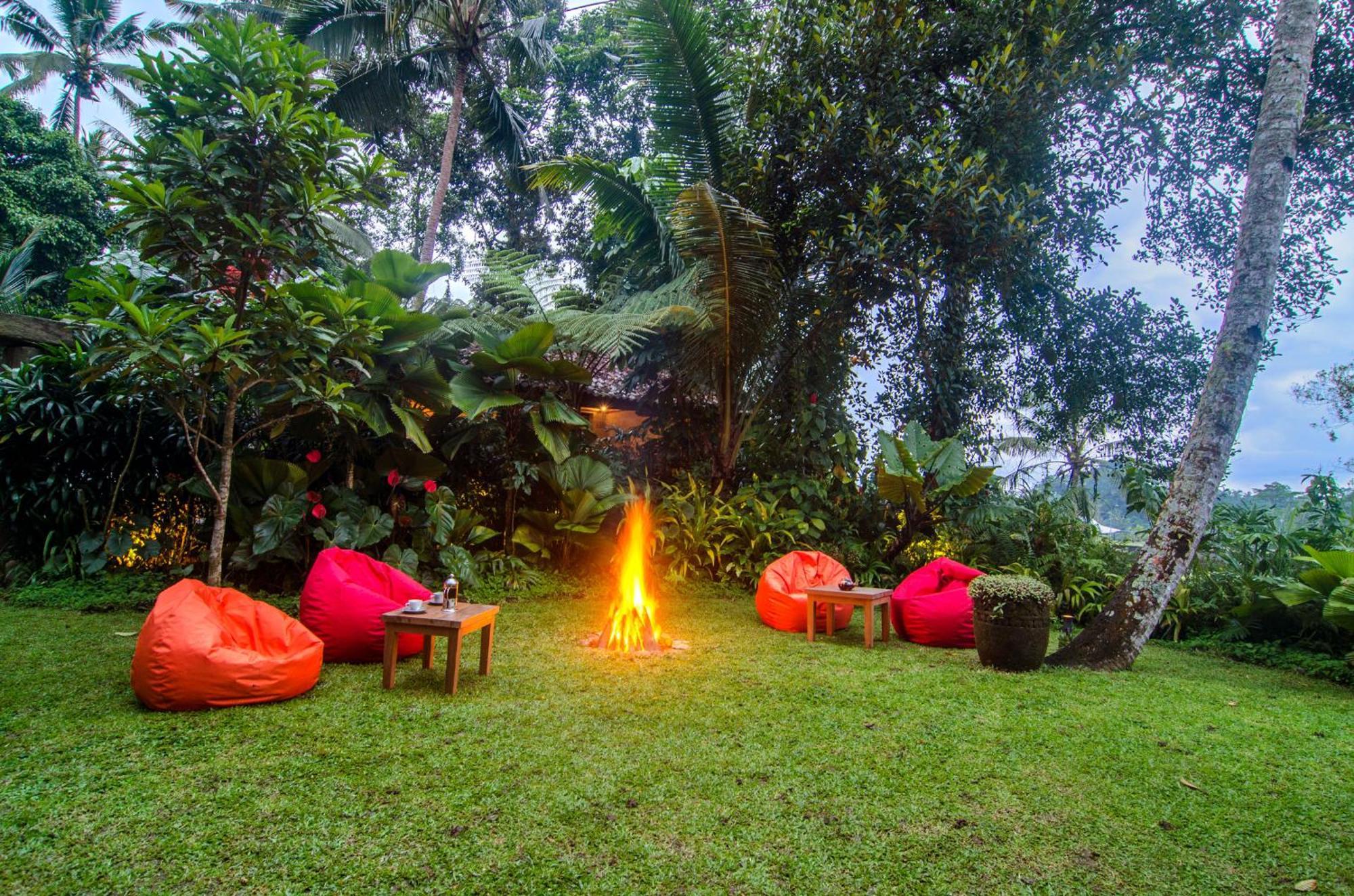 Dewi Tara Haven Bed & Breakfast Payangan Rom bilde
