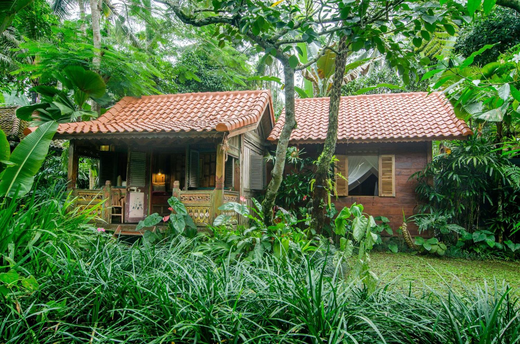 Dewi Tara Haven Bed & Breakfast Payangan Rom bilde